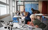 Schule im Naturlabor